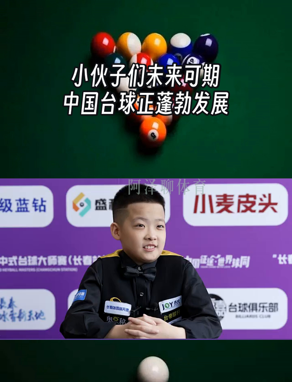 台球选手的成长故事：从业余到职业的蜕变的简单介绍