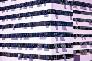 -体育新闻中心推进体育智库体系建设，体育专题报道